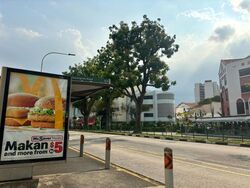 Upper Serangoon Road (D19), Shop House #451535461